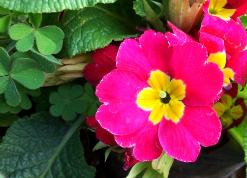 DSCN5984.jpg