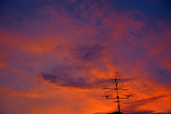 IMG_3607.jpg