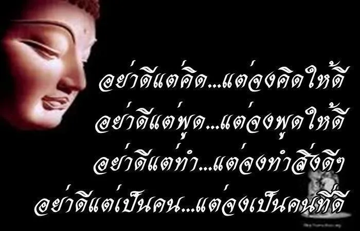 1110.webp