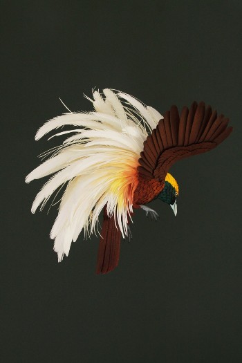 kapook_world-605137.jpg