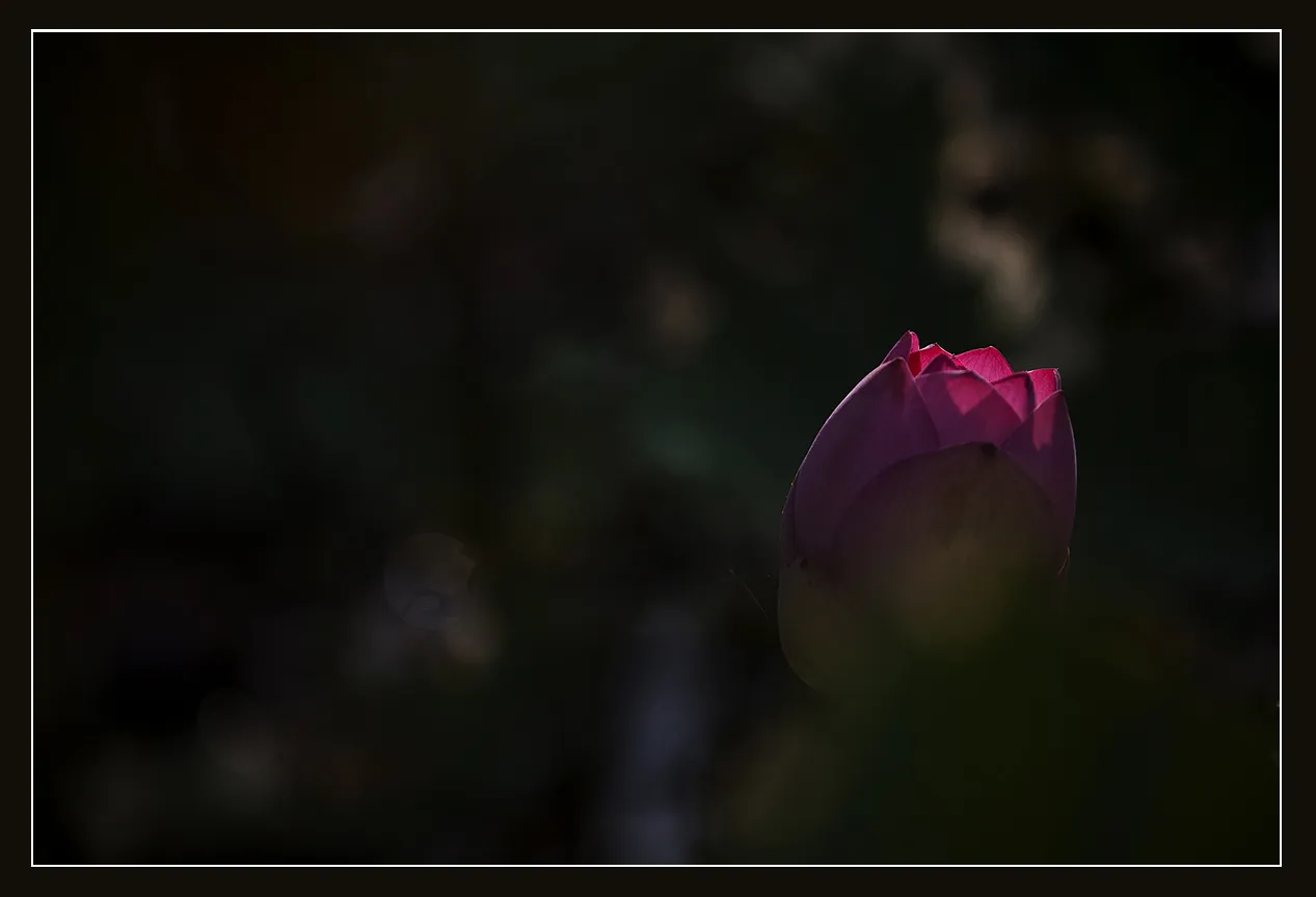 0003.webp