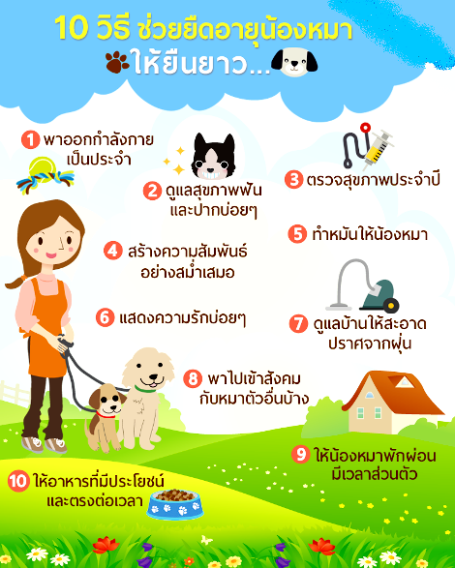 b_110163_9312.png