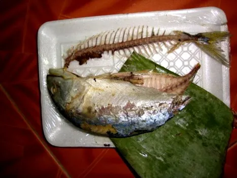 kapook_world-718336.webp