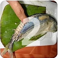 kapook_world-7183372.webp