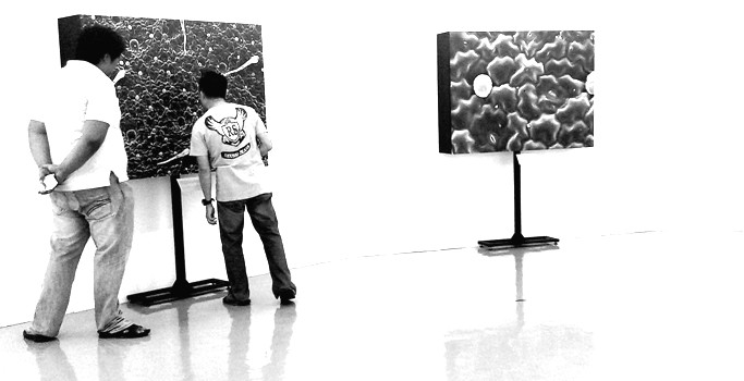 IMAG2304.jpg