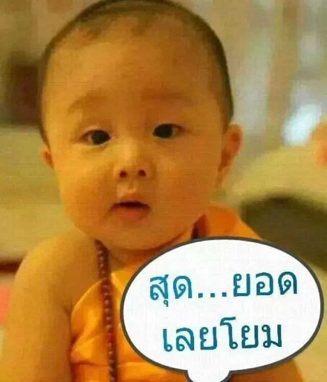 895778.webp