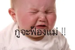 1979681.webp