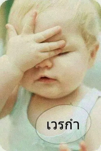 10354181.webp