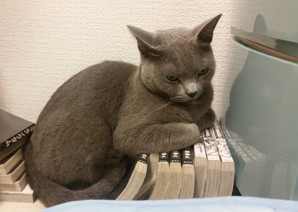 kokesukepapa11.jpg