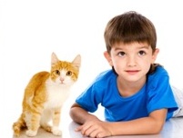 cat6.jpg