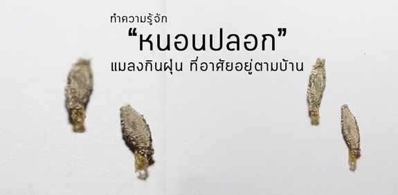 71951.jpg