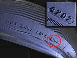 pic 6.jpg