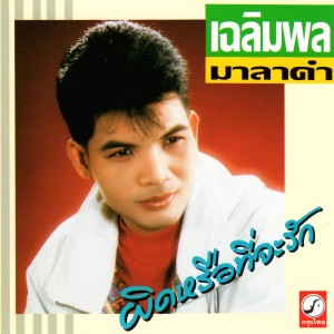 หน้าปก.jpg