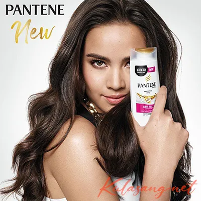 Cover.webp