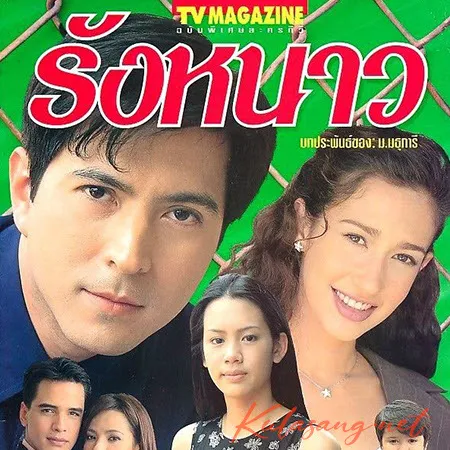 Cover.webp