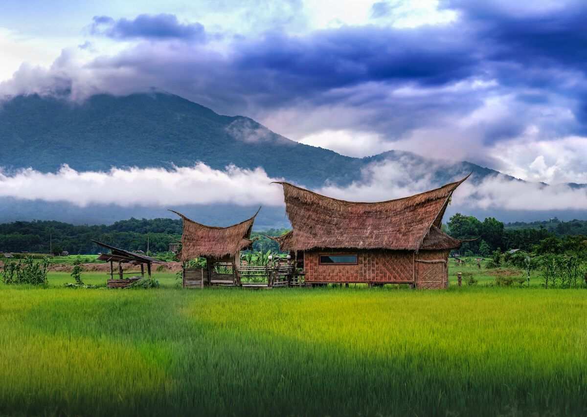 Countryside-home-and-rice-field-in-Nan-Thailand-1200x853.jpg