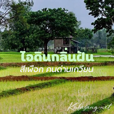 Cover.jpg