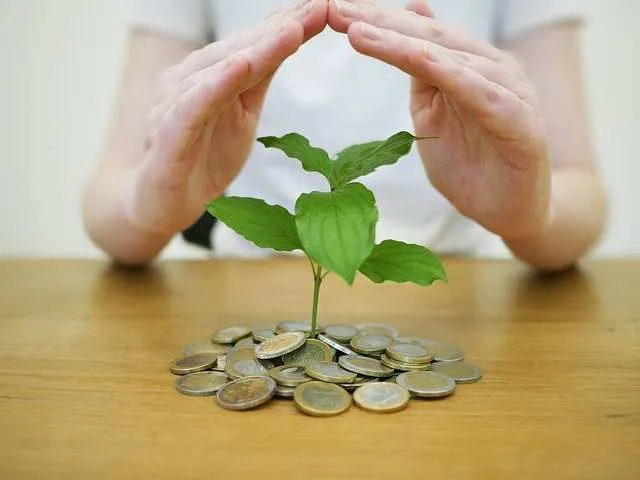 money-back-up-g6edfbdff3_640.webp