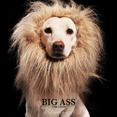 Cover.jpg