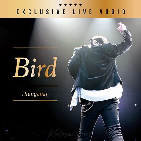 Cover.webp
