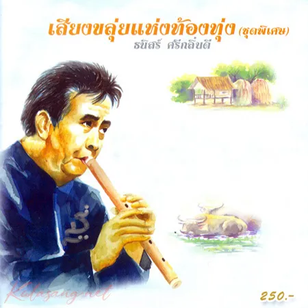 Cover.webp