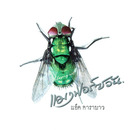 Cover.jpg