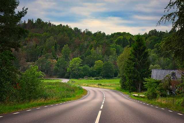 asphalt-road-g36c940ea9_640.jpg