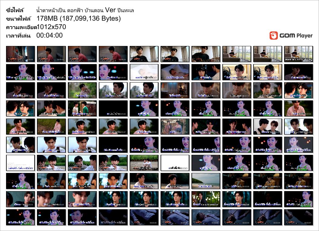 น้ำตาหน้าเป็น ดอกฟ้า บ้านดอน Ver ปืนทะเล_Snapshot.jpg