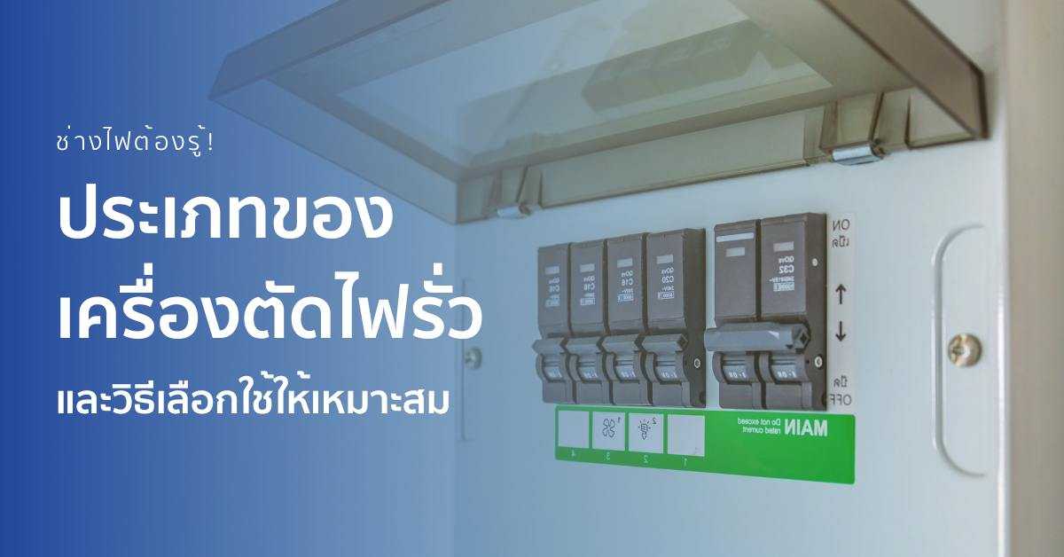 KJL Backlink Cover - 1200628 (3).jpg