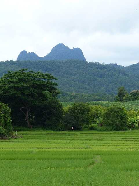ลำปาง ภูเขาสูง.jpg