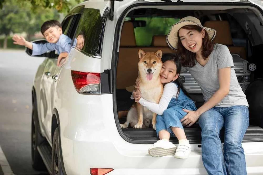 what-to-prepare-for-road-trips.webp