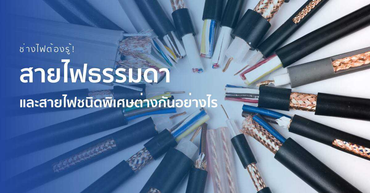 รู้หรือไม่ สายไฟธรรมดาและสายไฟชนิดพิเศษต่างกันอย่างไร