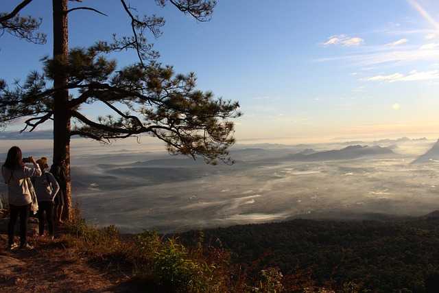 phu-kradueng-2725214_640.jpg