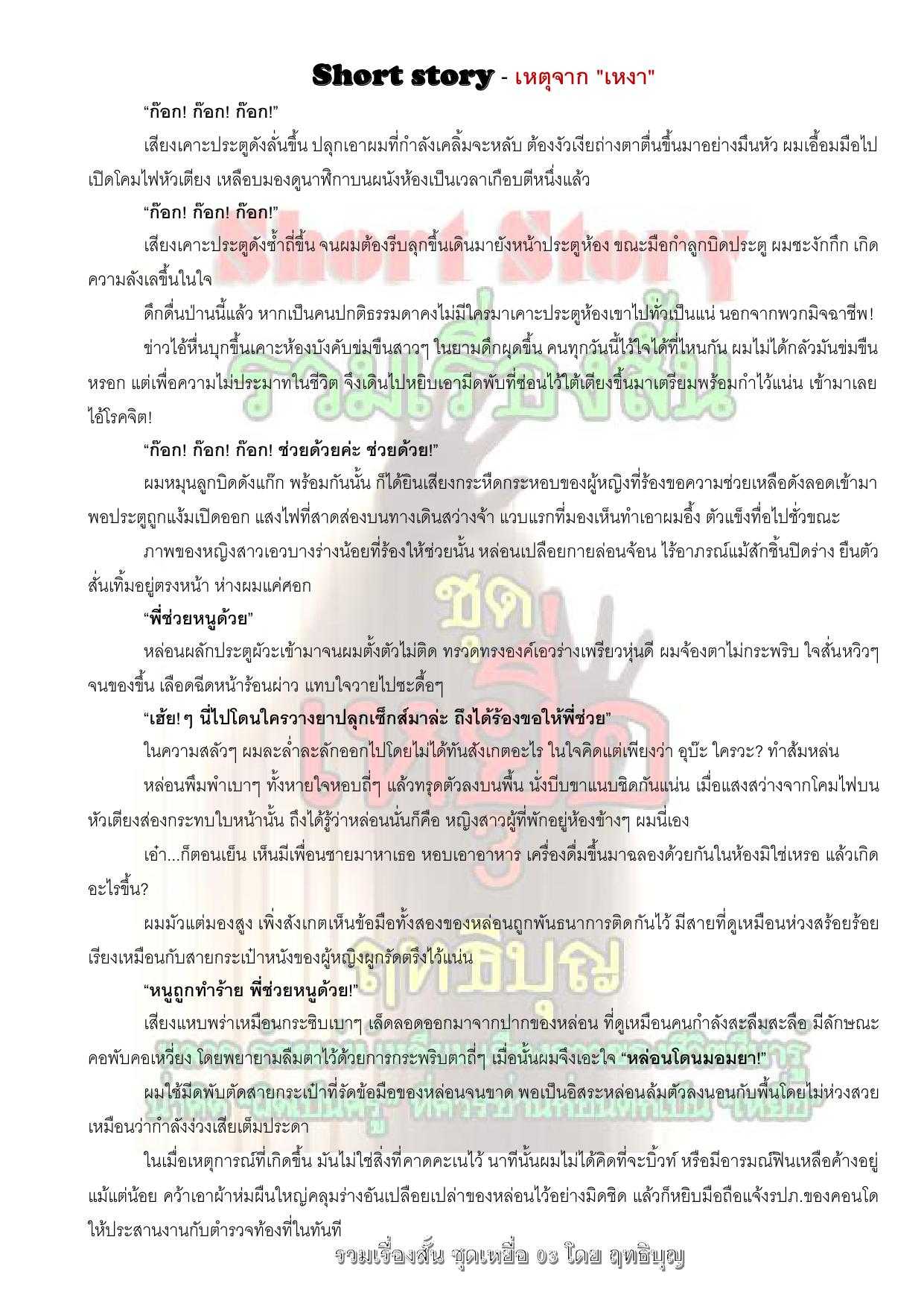 17 เหตุจากเหงา.jpg