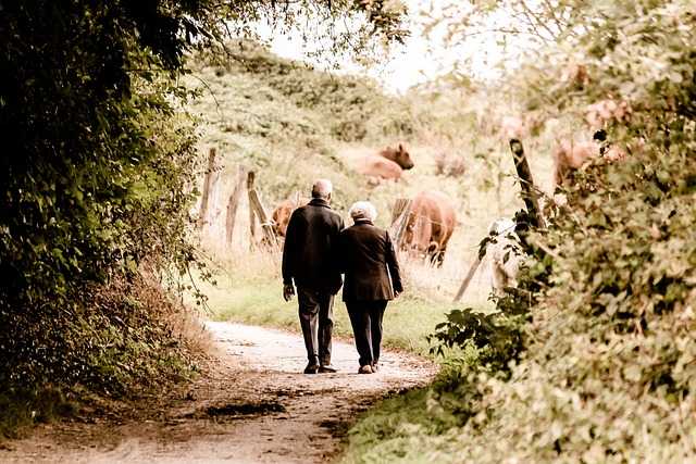 elderly-g86652fa6c_640.jpg