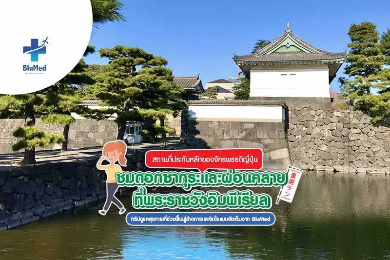 ชมดอกซากุระและผ่อนคลายที่พระราชวังอิมพีเรียล