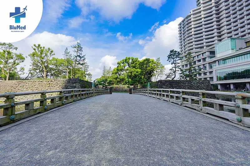 2Feb_BlueMed_Blog 4_Imperial Palace_content1.webp