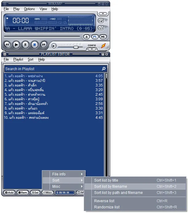 06.webp
