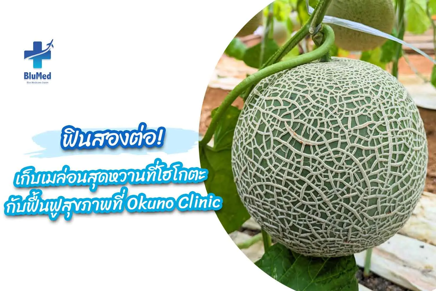 Mar_BlueMed_Blog-7Off-page__cover.webp