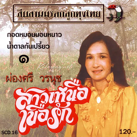 Cover.webp