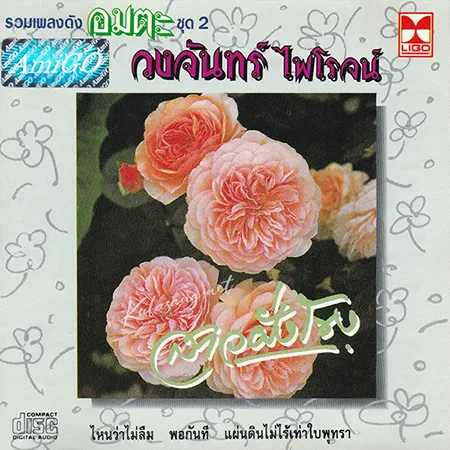 Cover.webp