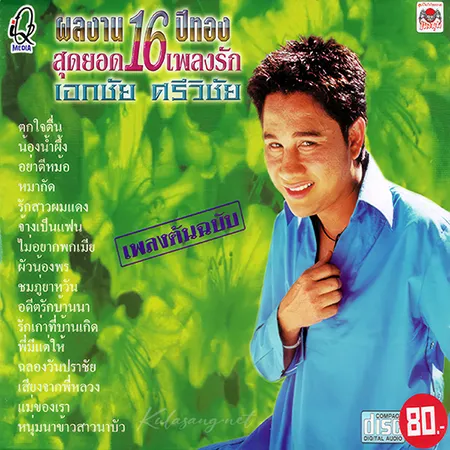 เอกชัย ศรีวิชัย - 16 ปีทอง สุดยอด 16 เพลงรัก (320KBpS)