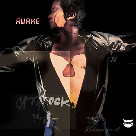 Cover.webp