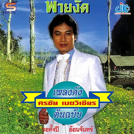 ศรชัย เมฆวิเชียร - เพลงดังต้นฉบับ - พายงัด (320KBpS)