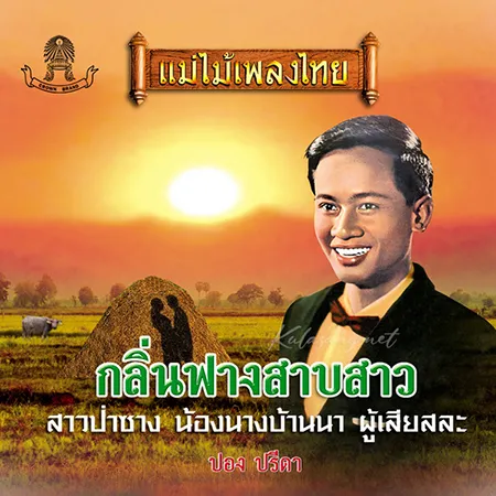 Cover.webp