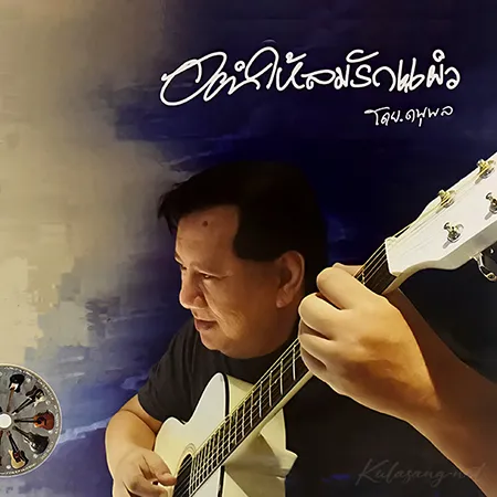 แจ้ ดนุพล - Vol.14 อย่าให้ลมรักแผ่ว (FLAC)