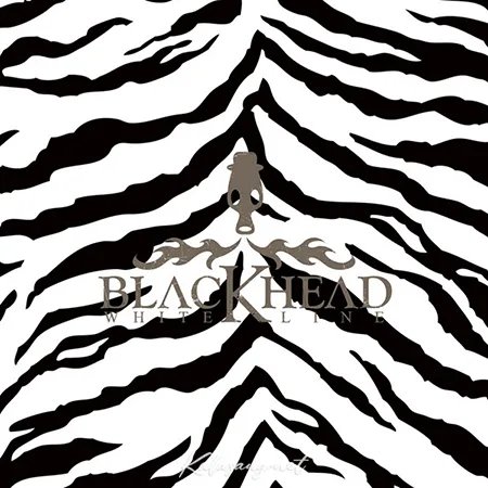 Cover.webp