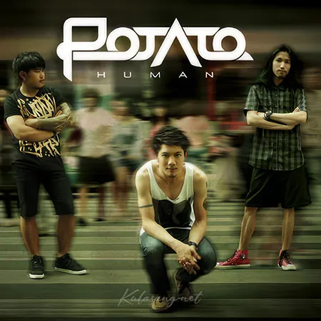 Cover.webp