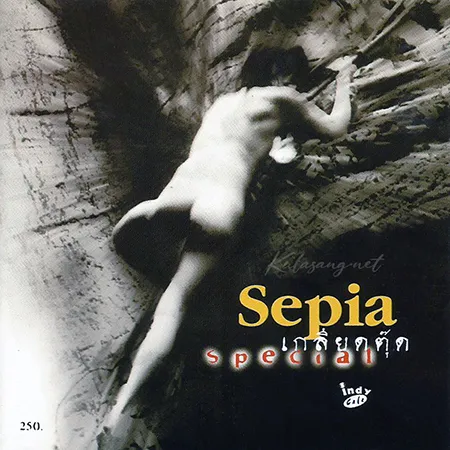 Cover.webp