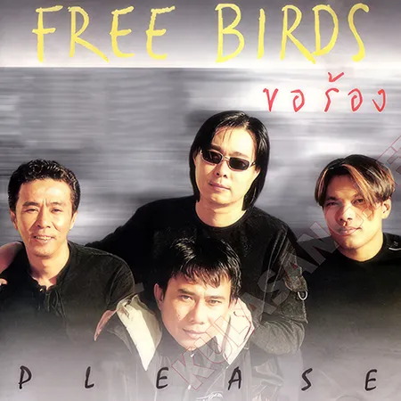Cover.webp